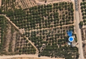 Casa de campo con terreno en venta en la España, Albatera, ref: TR263887 foto