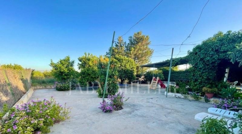 Alicante - Albatera - 14000m2