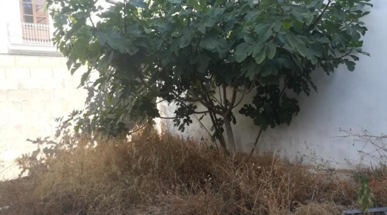 Valencia - Picaña - 130m2