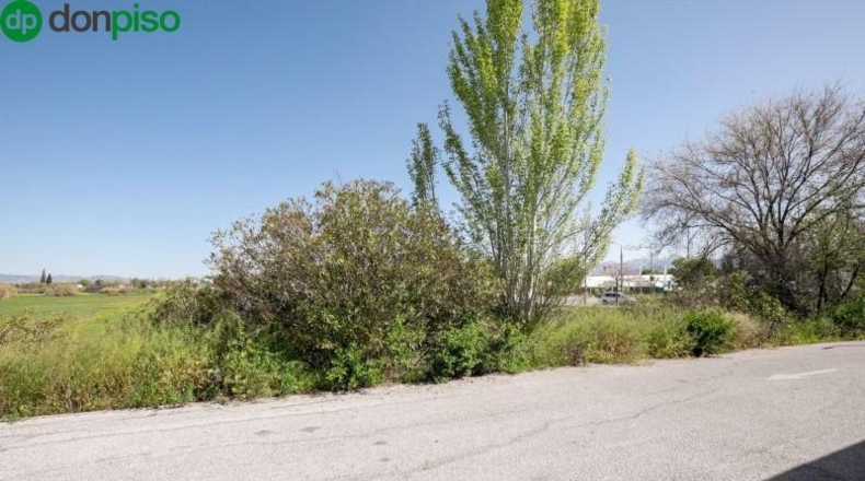 Granada - Maracena - 1300m2