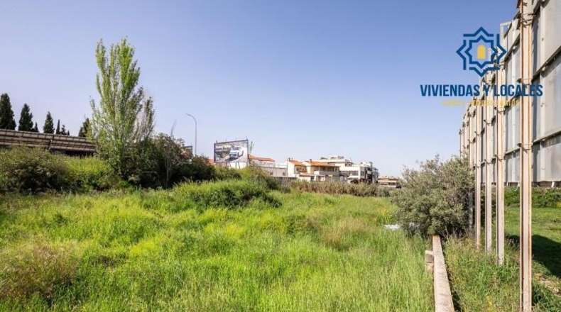 Granada - Granada - 1300m2