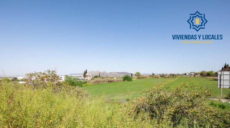 Granada - Granada - 1300m2