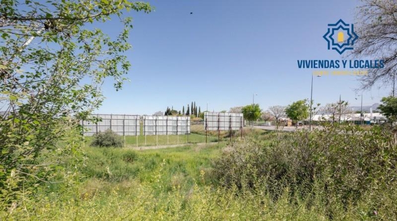 Granada - Granada - 1300m2