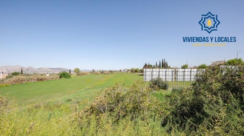Granada - Granada - 1300m2