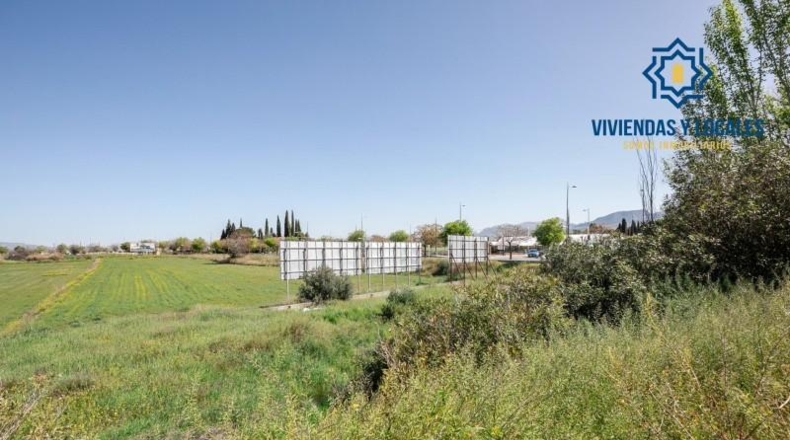 Granada - Granada - 1300m2