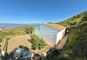 Detached villa with land for sale on España, Vélez-Málaga, ref: TR243894 photo