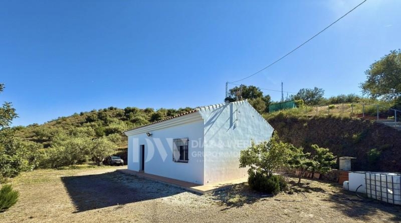Málaga - Vélez-Málaga - 11000m2