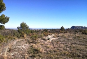 Foto 14