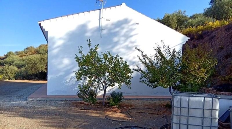 Málaga - Vélez-Málaga - 11000m2
