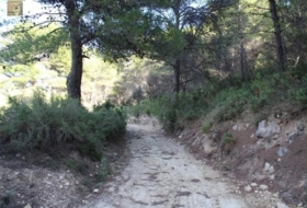 Foto 15