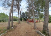 Chalet independiente con terreno en venta en la España, Xàtiva, ref: TR160233 foto