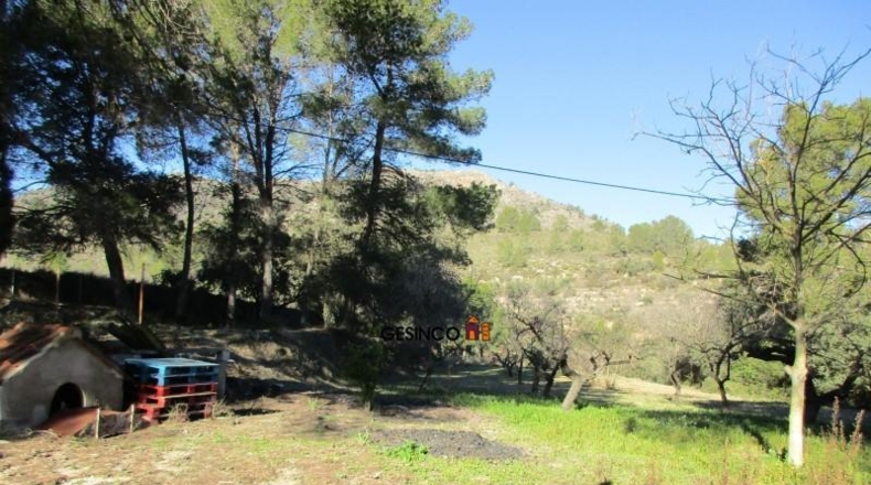 Valencia - Xàtiva - 11621m2