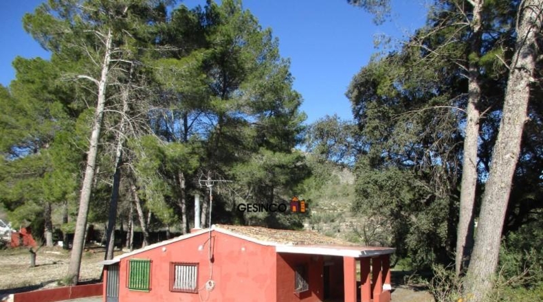 Valencia - Xàtiva - 11621m2