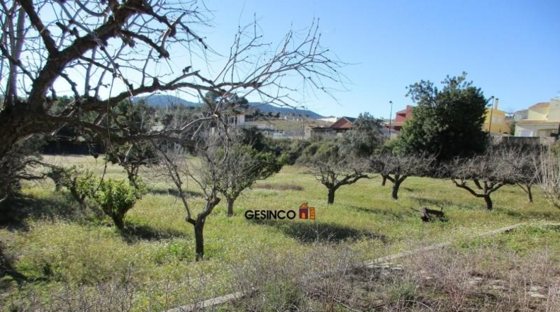 Valencia - Xàtiva - 11621m2