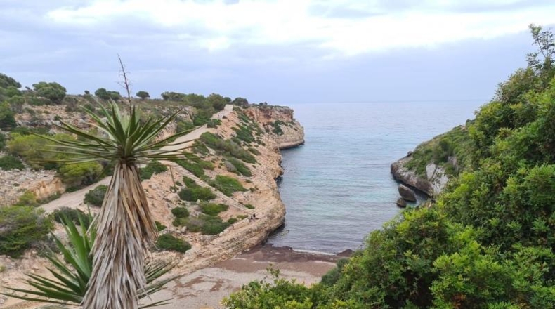 Balearic Islands - Manacor - 1213m2