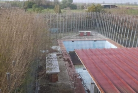 Foto 15