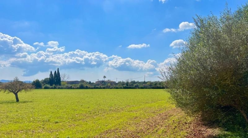 Балеарские острова - Porreres - 14844m2