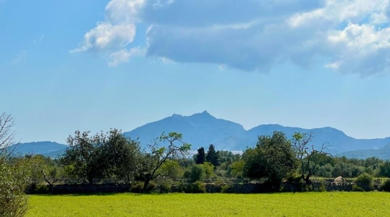 Балеарские острова - Porreres - 14844m2