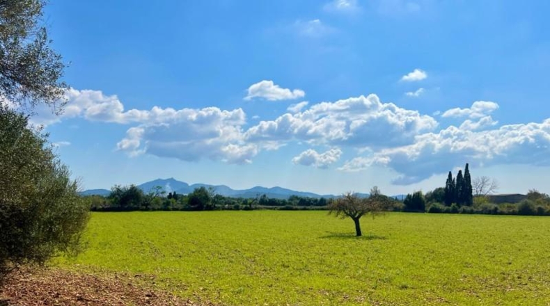 Балеарские острова - Porreres - 14844m2