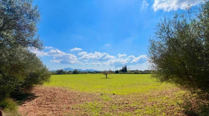 Балеарские острова - Porreres - 14844m2