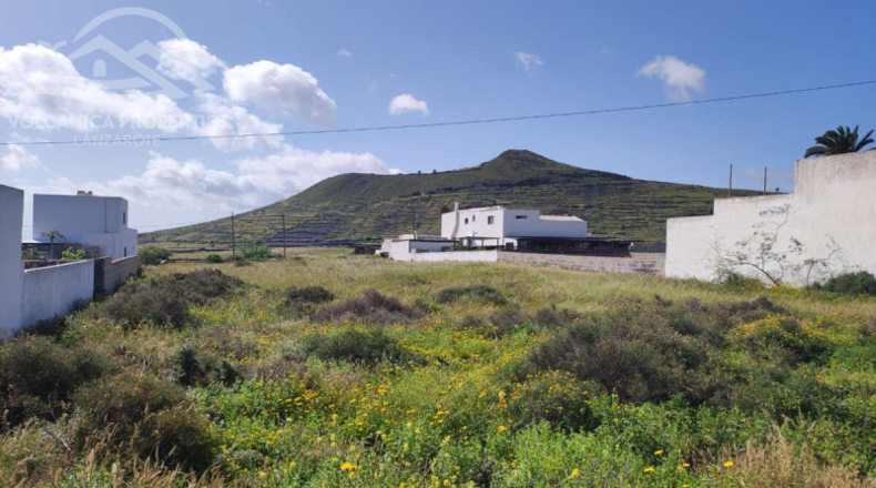 Las Palmas - Haría - 1840m2