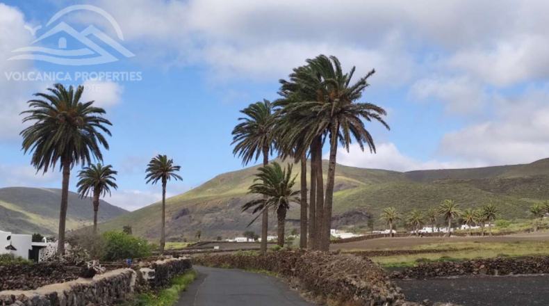 Las Palmas - Haría - 1840m2