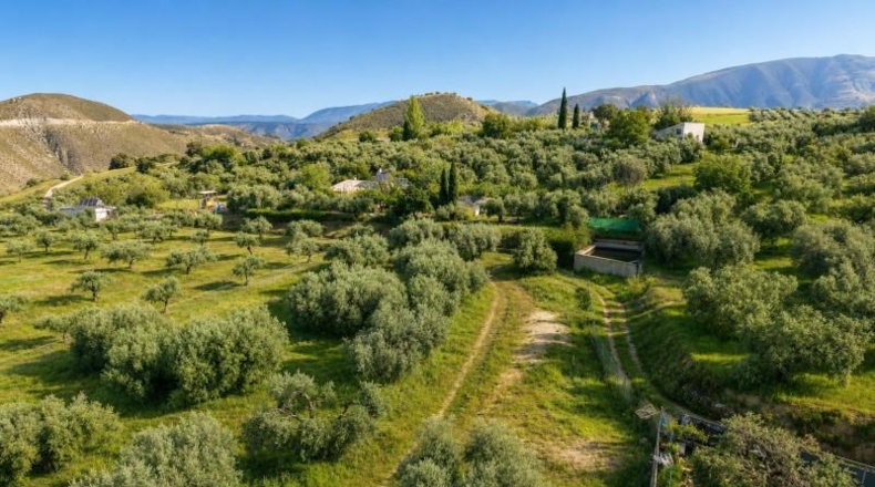 Granada - Monachil - 8000m2