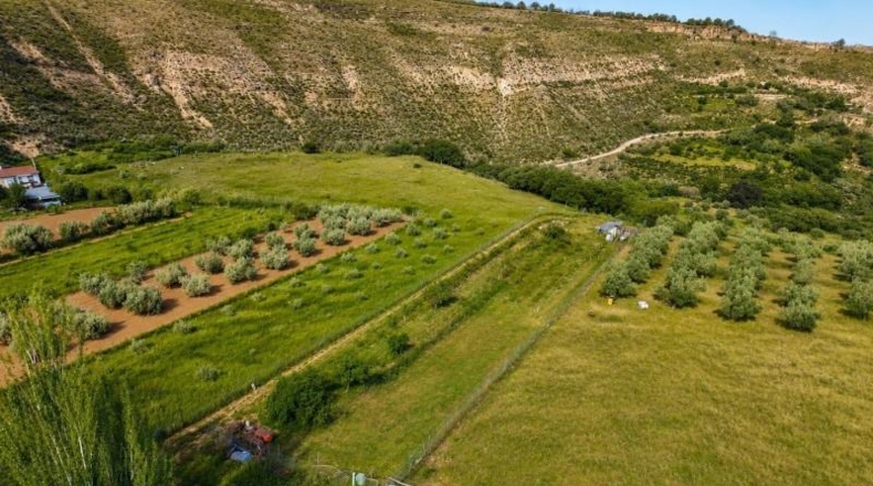 Granada - Monachil - 8000m2