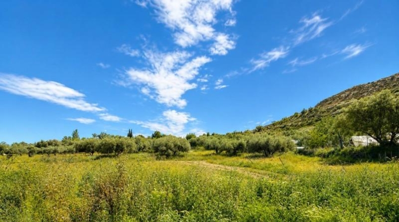Granada - Monachil - 8000m2