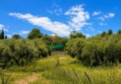 Casa de camp amb terreny en venda a la España, Monachil, ref.: TR409672 foto