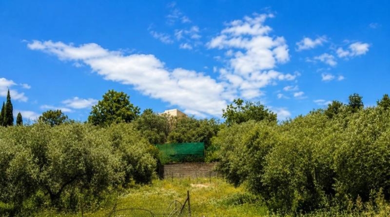 Granada - Monachil - 8000m2