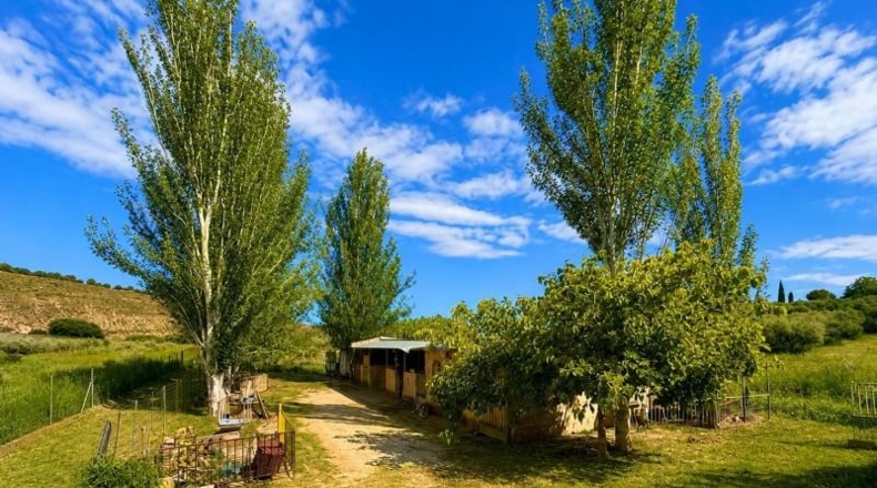 Granada - Monachil - 8000m2