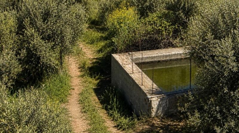 Granada - Monachil - 8000m2