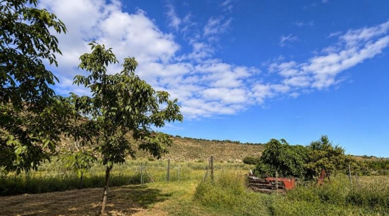 Granada - Monachil - 8000m2