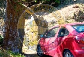 Tomiño 3683&nbsp;m²