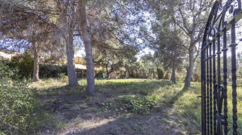 Valencia - Serra - 1465m2
