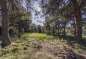 Suelo urbano en venta en la España, Serra, ref: TR320186 foto