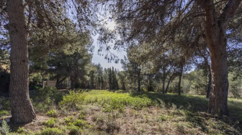 Valencia - Serra - 1465m2