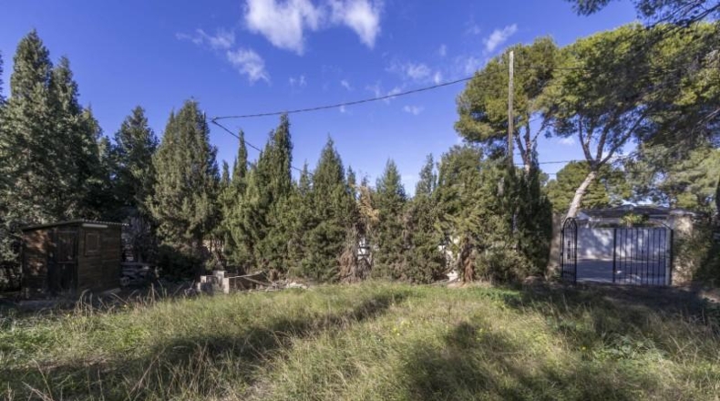 Valencia - Serra - 1465m2