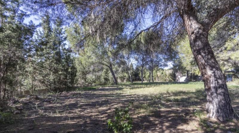 Valencia - Serra - 1465m2