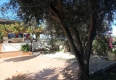 Casa de campo con terreno en venta en la España, Murcia, ref: TR353783 foto