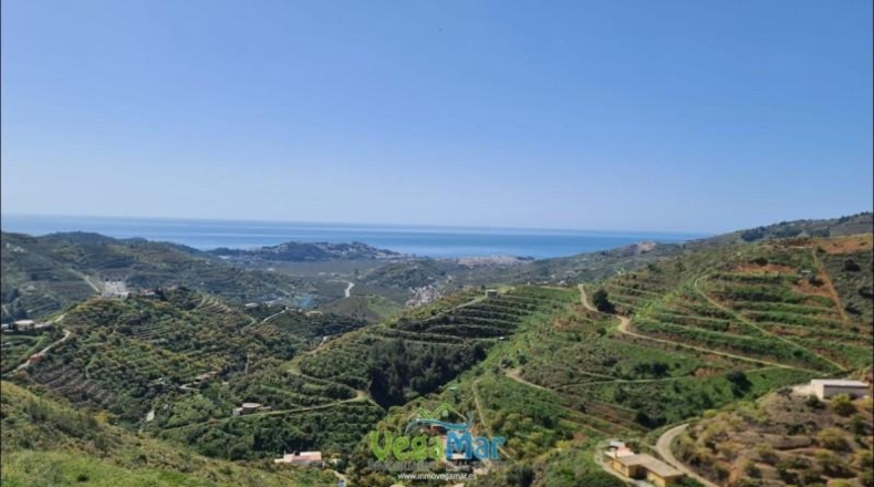 Granada - Almuñécar - 44000m2
