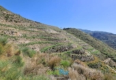 Terreno no urbanizable en venta en la España, Almuñécar, ref: TR242105 foto