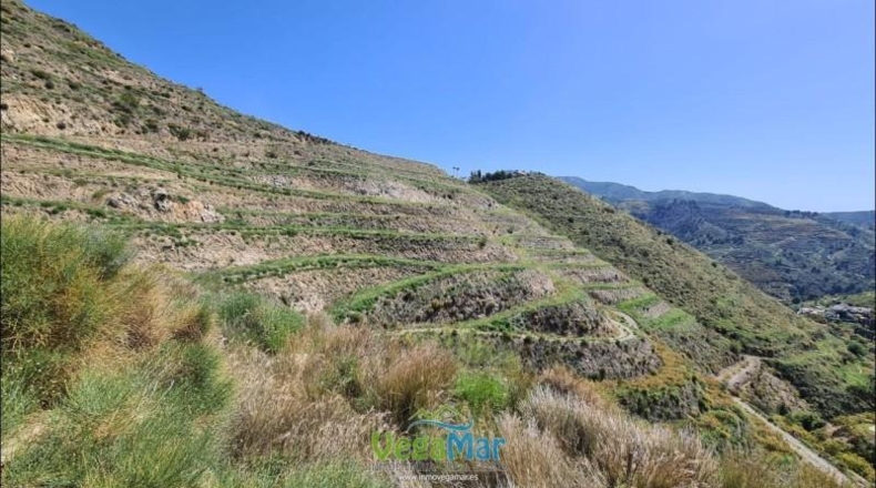 Granada - Almuñécar - 44000m2