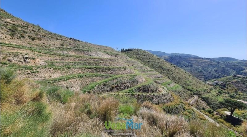 Granada - Almuñécar - 44000m2