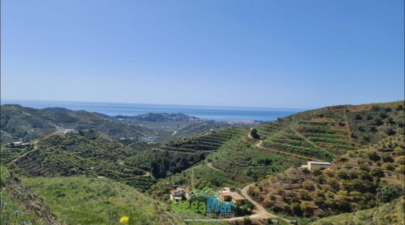 Granada - Almuñécar - 44000m2