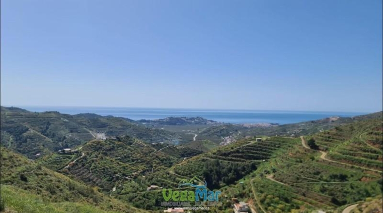 Granada - Almuñécar - 44000m2