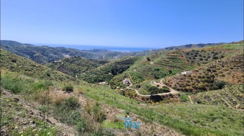 Granada - Almuñécar - 44000m2