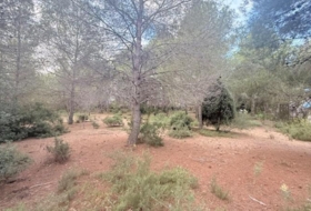 Albalat dels Tarongers 1808&nbsp;m²
