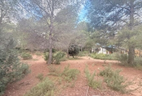 Albalat dels Tarongers 1808&nbsp;m²